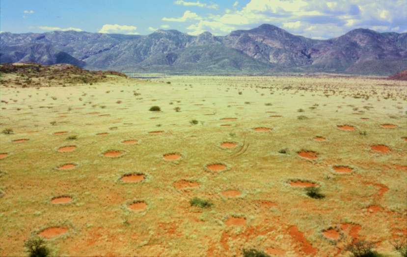 Fairy circles in Africa, caused by termites