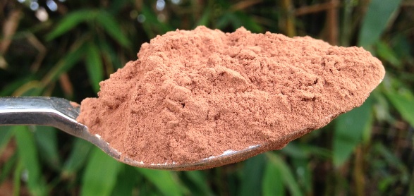 Cocoa powder. (Susanne Bard)