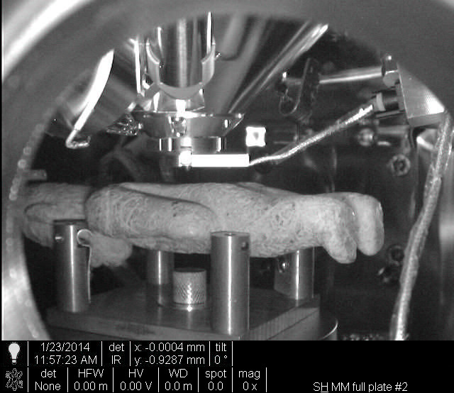 A 17 cm carved stone figurine shown inside the SEM chamber ready for non-destructive imaging and analysis TRose Smithsonian