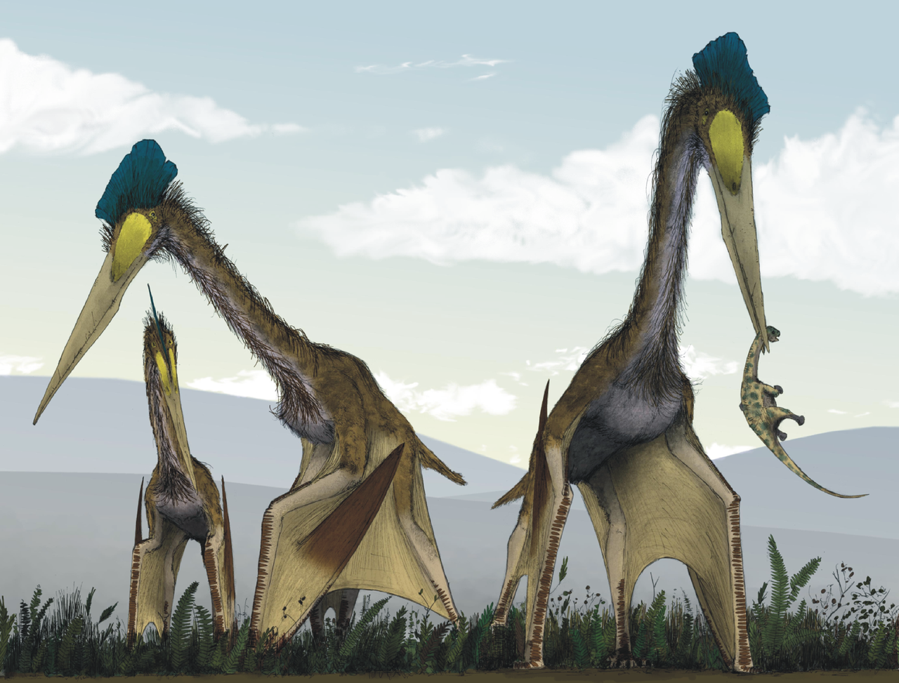 Life_restoration_of_a_group_of_giant_azhdarchids,_Quetzalcoatlus_northropi,_foraging_on_a_Cretaceous_fern_prairie CC BY 3.0