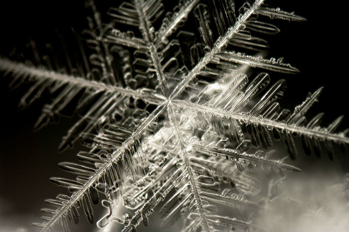 Photomicrograph of a snowflake crystal