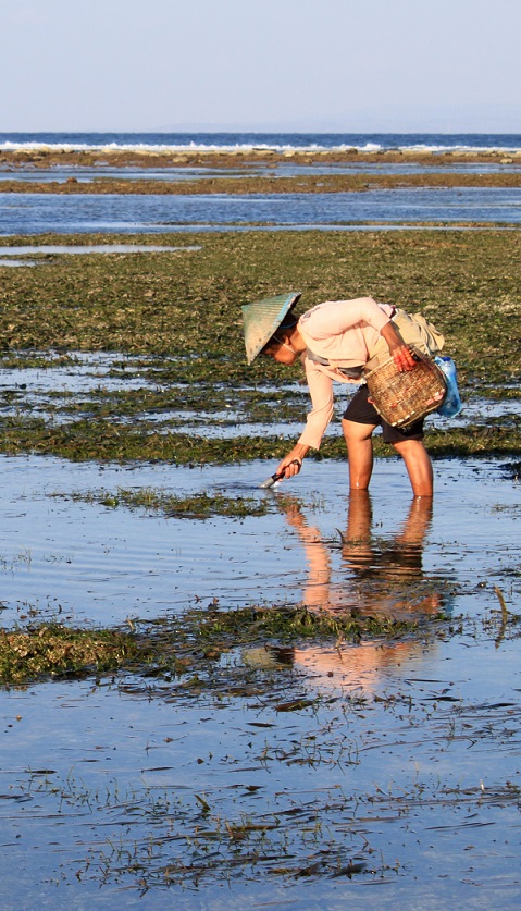 Artisanal fishing on a seagrass meadow in Indonesia Steven J Lutz, GRID-Arendal, CC BY-NC 2.0,cropped