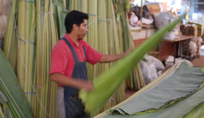 A man trims giant banana leaves in Mexico. Emma CC BY SA 2.0 via flickr