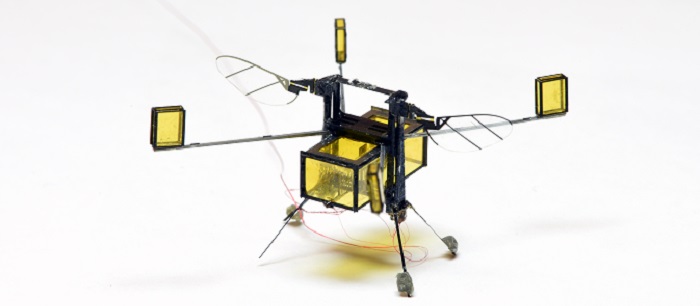 The tiny aerial-aquatic robot. (Yufeng Kevin Chen, E. Farrell Helbling, and Hongqiang Wang)