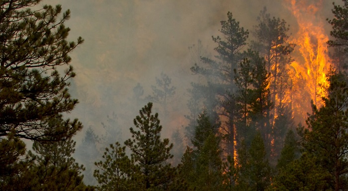 High Park Fire, Colorado, 2012. (The National Guard)