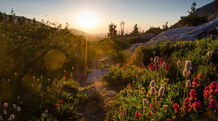 Rocky Mountain National Park in Colorado. (Crystal Brindle/CC BY-ND 2.0)