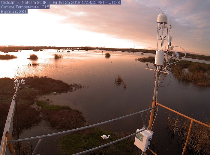 Wetlands help dampen the effects of climate change. (Kyle S Hemes)