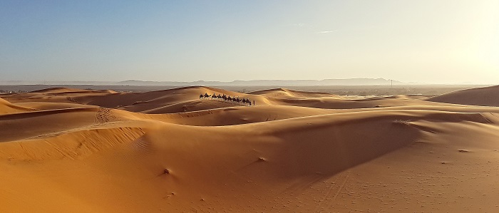 The Sahara desert has vast potential for solar and wind power production. (Merzouga, Morocco Sahara desert camel trek/Evaldas Liutkus/Flickr/CC0)