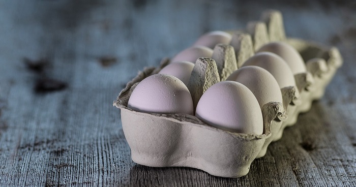 Eggs and immunity. (monicor/Pixabay)