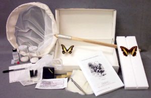 Insect collection kit