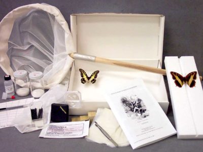Insect collection kit