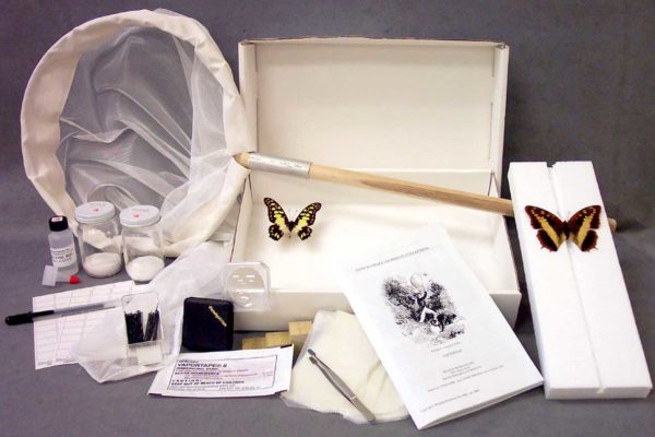 Insect collection kit