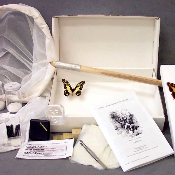 Insect collection kit