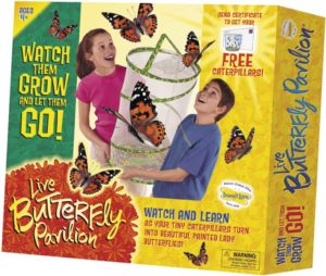 Butterfly Pavilion kit