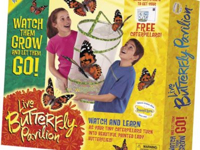 Butterfly Pavilion kit