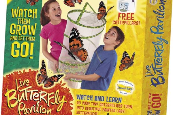 Butterfly Pavilion kit