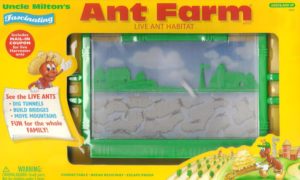 Classic plastic ant farm