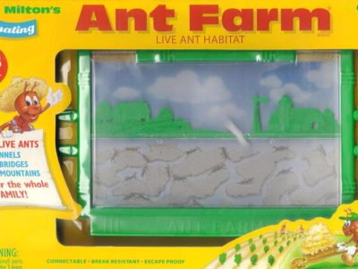 Classic plastic ant farm