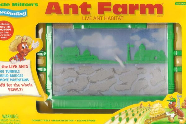 Classic plastic ant farm