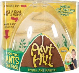 Ant Hill kit to raise ants