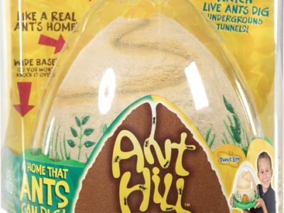 Ant Hill kit to raise ants