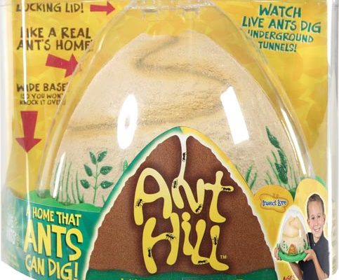 Ant Hill kit to raise ants