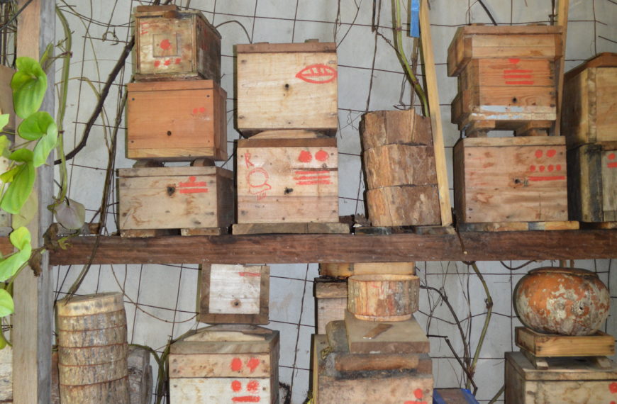 Mayan Honeybee hives