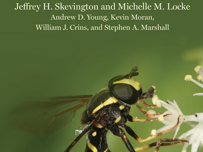 Book on flies that look and behave like bees