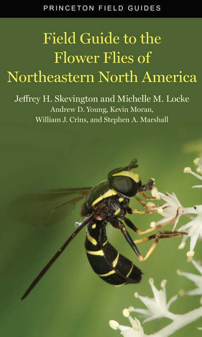 Flower Flies of Northeastern North America