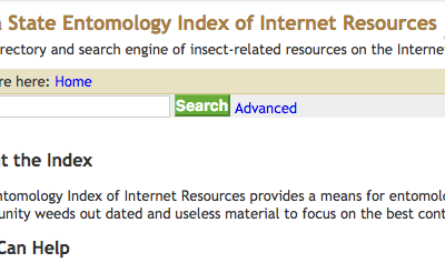 Index of Entomology image