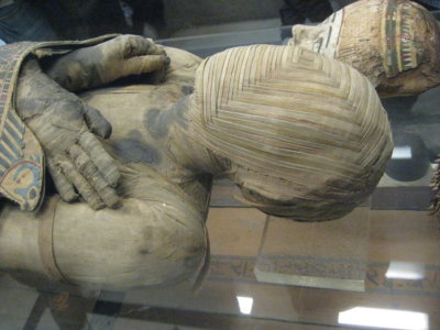 Image of upper body of tightly wrapped mummy