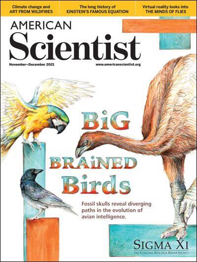 American Scientist magazine cover