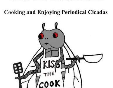 Cover of Cicada Cookbook with cartoon cicada