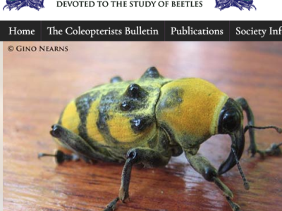 Website of The Coleopterists Society