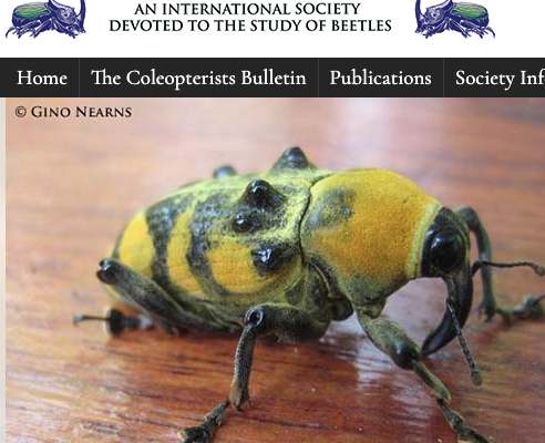 Website of The Coleopterists Society