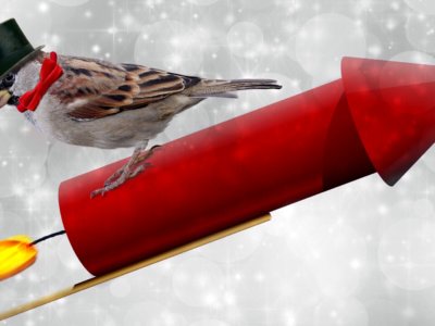 House sparrow wearing top hat rides aboard a red fireworks rocket