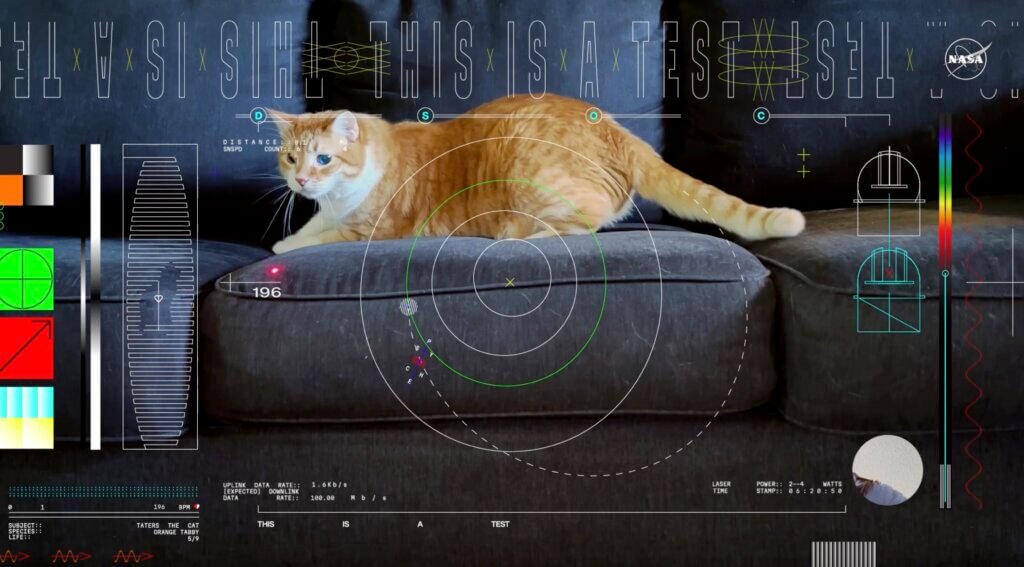 NASA Announces Historic Cat Video Transmission
