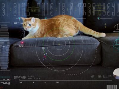 Image of computer screen depicting an orange cat with a variety of alphanumeric scientific data superimposed on the the screen.