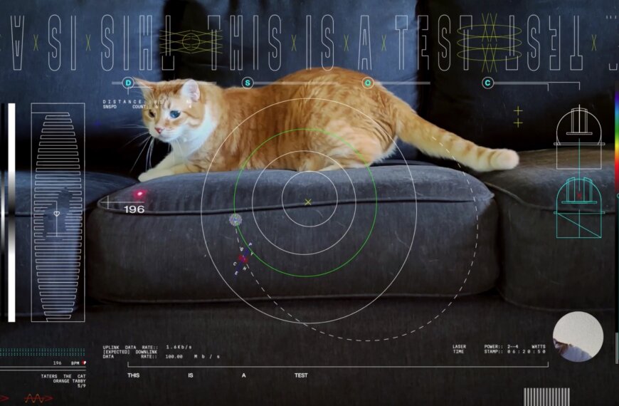 Image of computer screen depicting an orange cat with a variety of alphanumeric scientific data superimposed on the the screen.