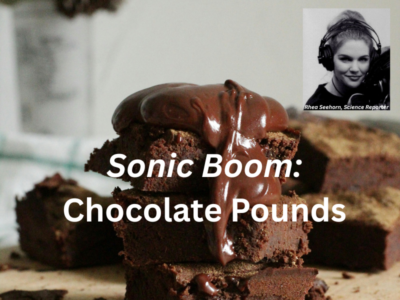Photo of chocolate fudge with headline Sonic Boom: Chocolate Pounds with inset photo of science reporter Rhea Seehorn