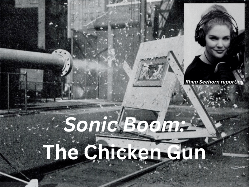 Sonic Boom: Chicken Gun